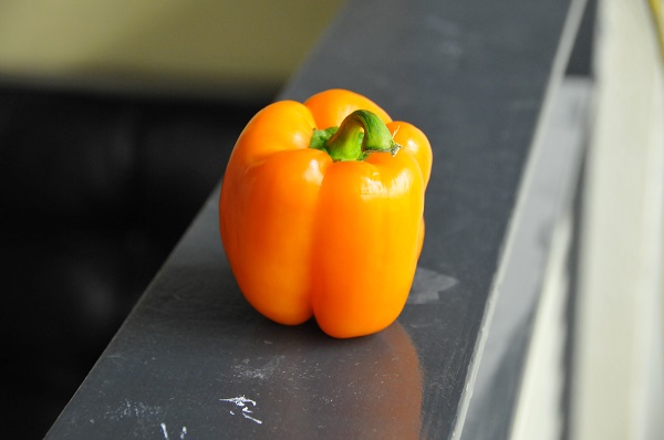 基本的には絶対使わないであろう写真集